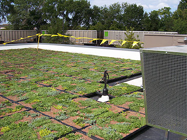 garden roofing 10
