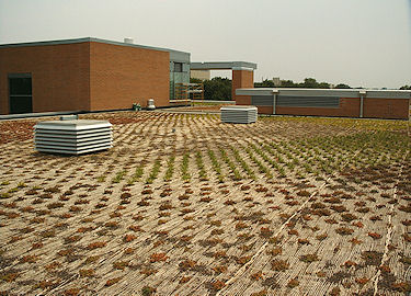 garden roofing 11