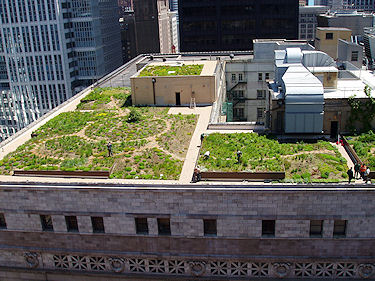 garden roofing 1