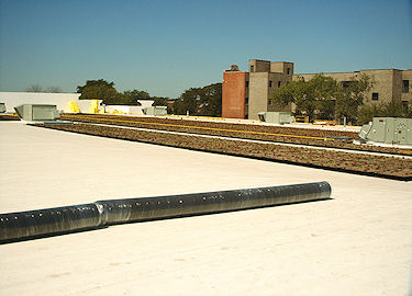 garden roofing 3