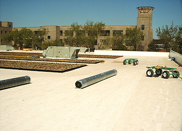 garden roofing 4