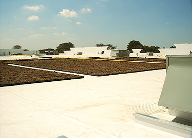 garden roofing 5