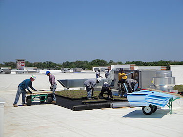 garden roofing 6