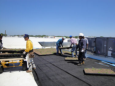 garden roofing 7