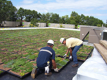 garden roofing 8