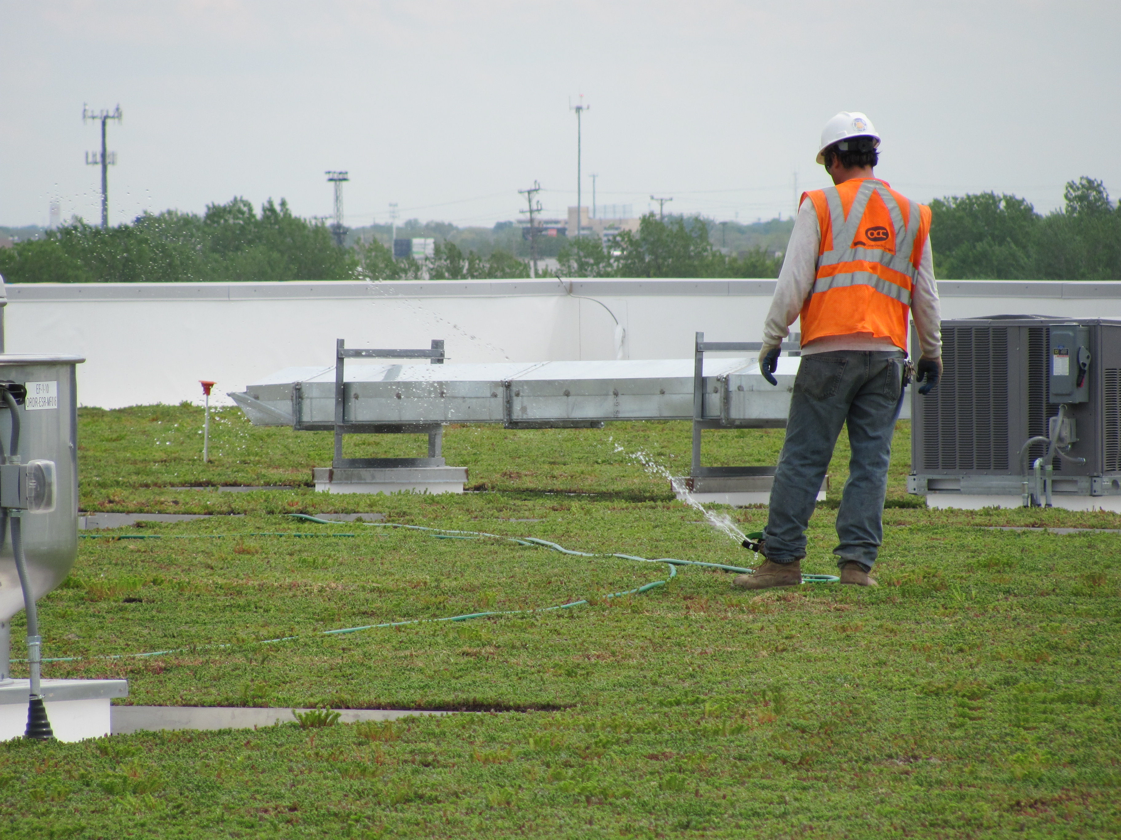 vegetative roofing 11