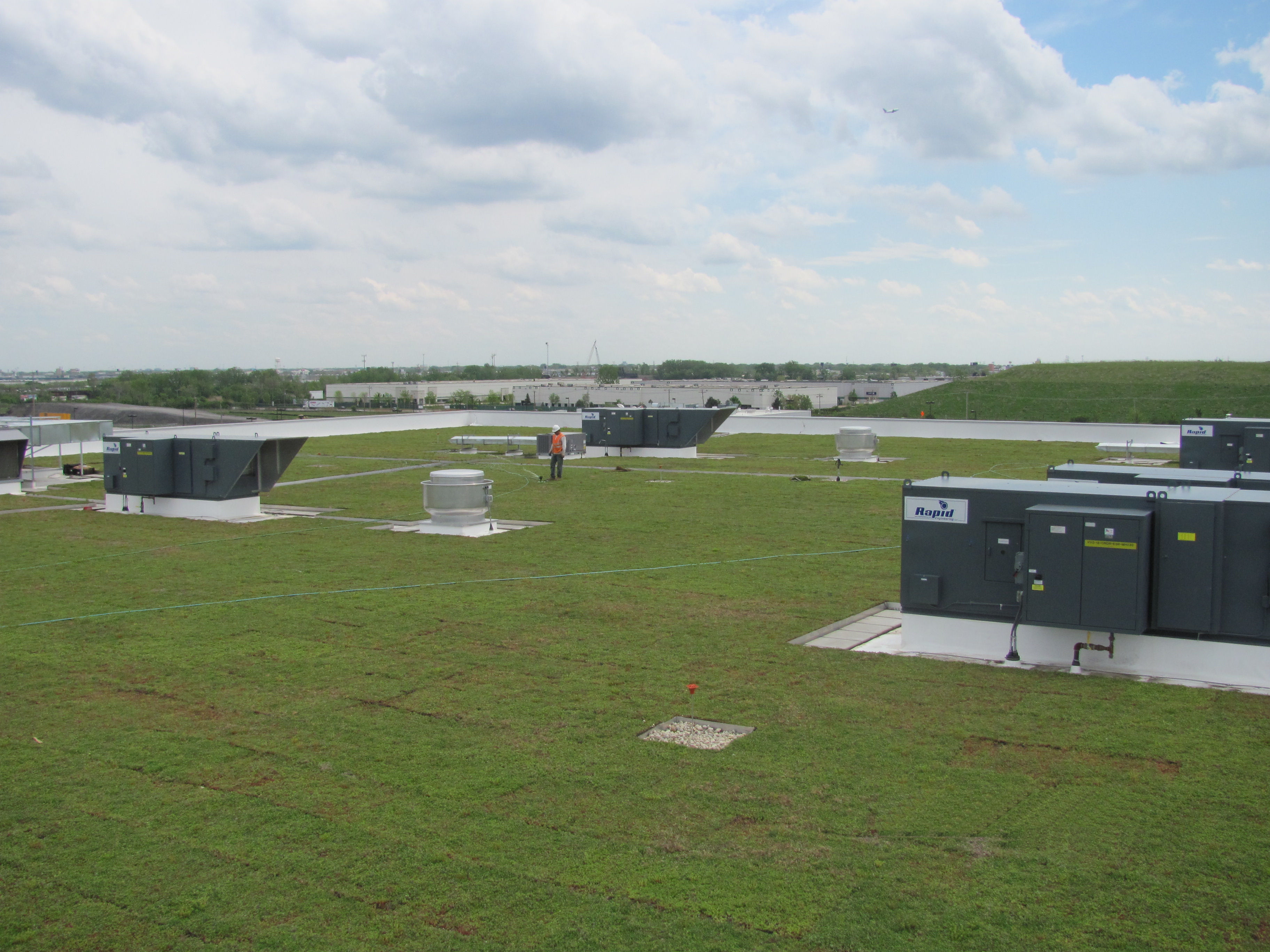 vegetative roofing 1