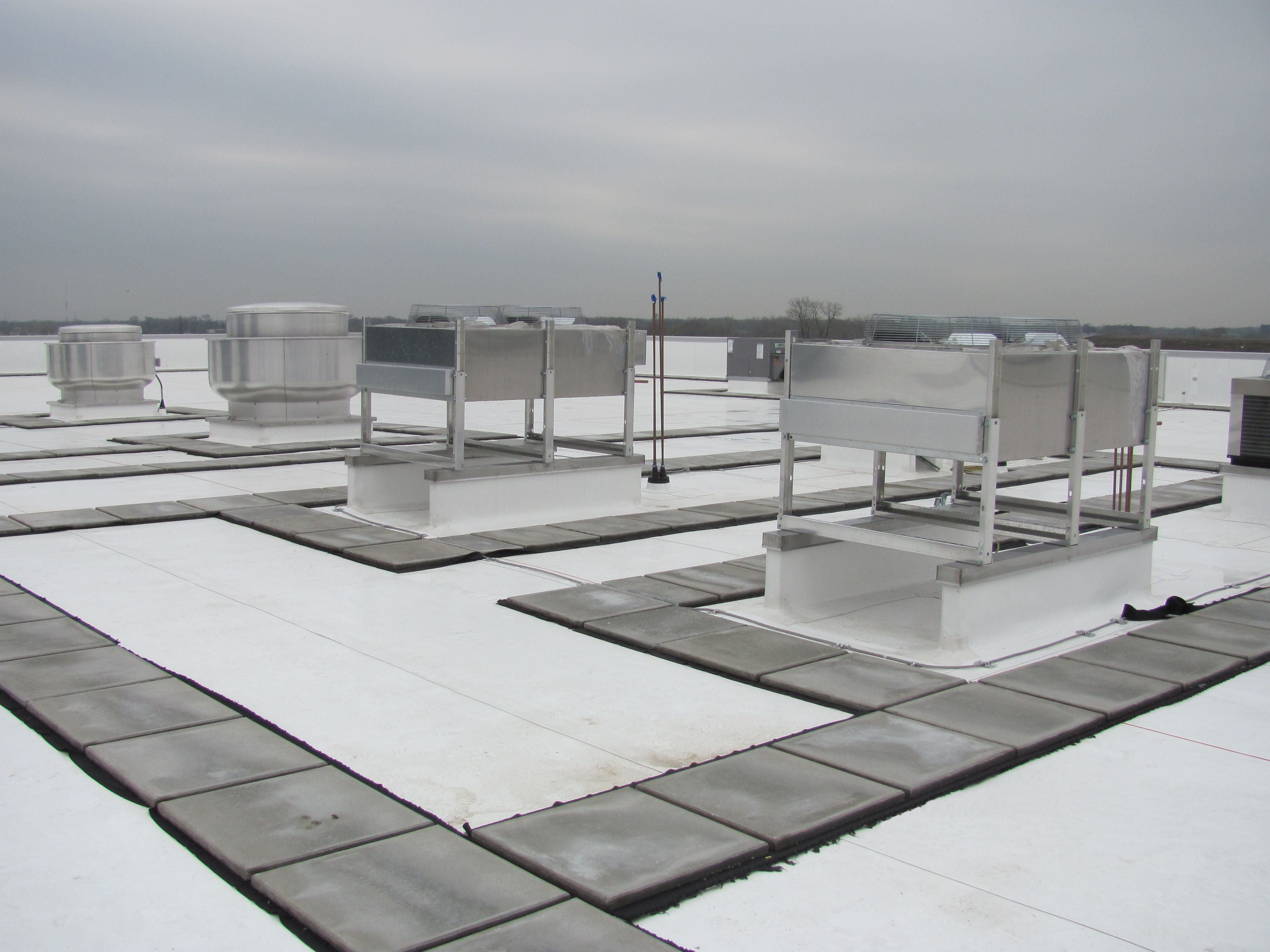 vegetative roofing 2