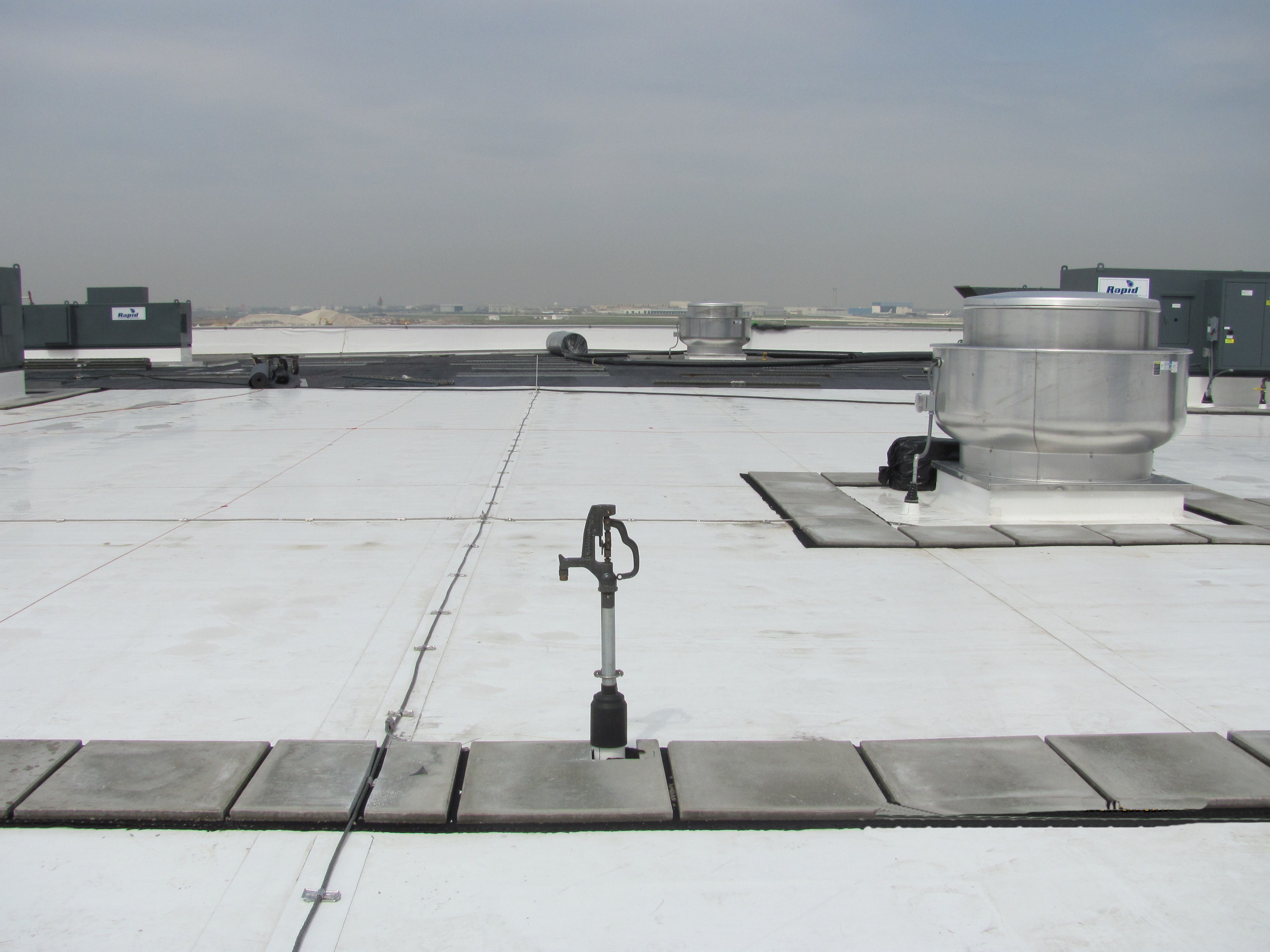 vegetative roofing 3