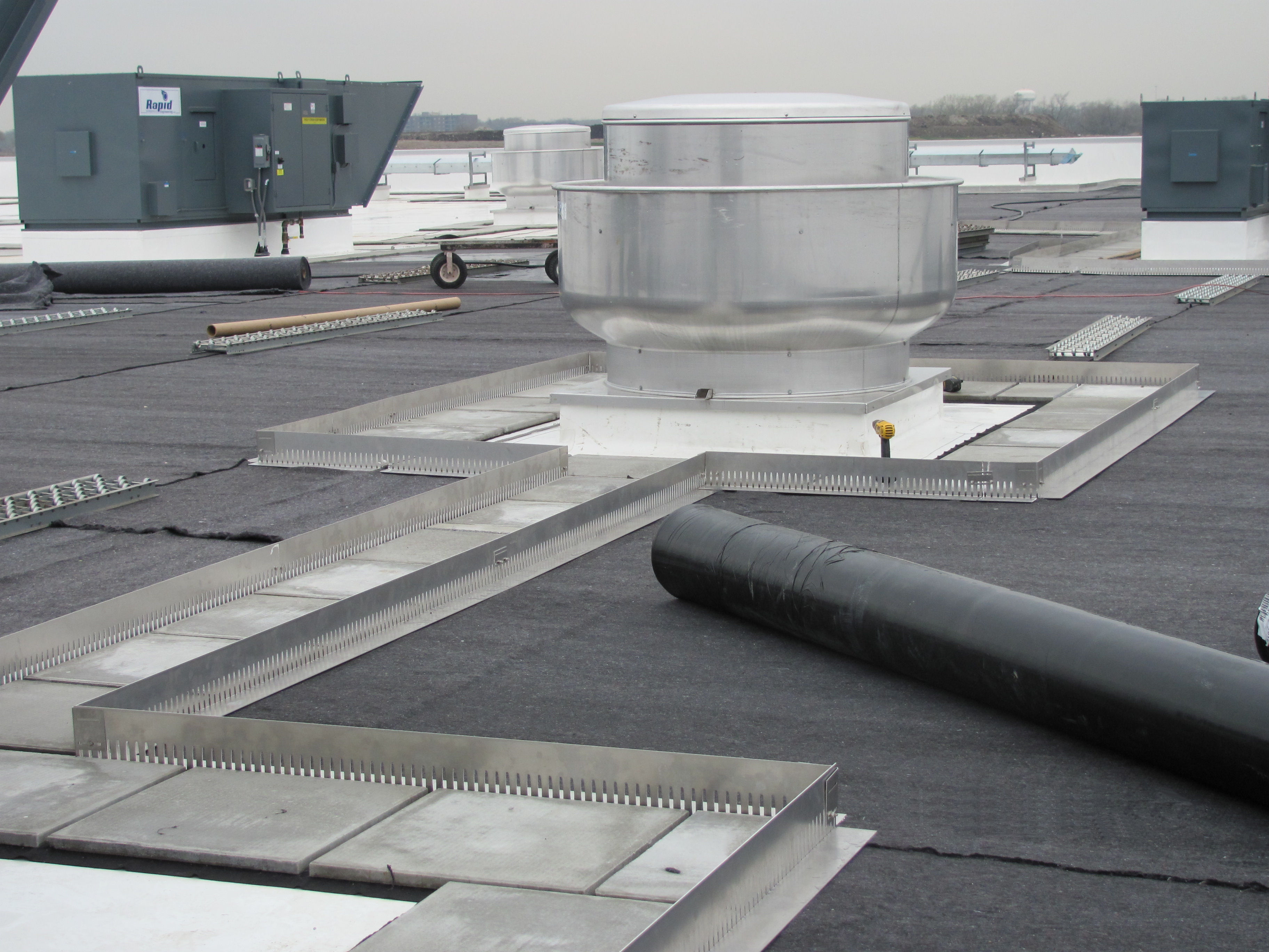 vegetative roofing 4