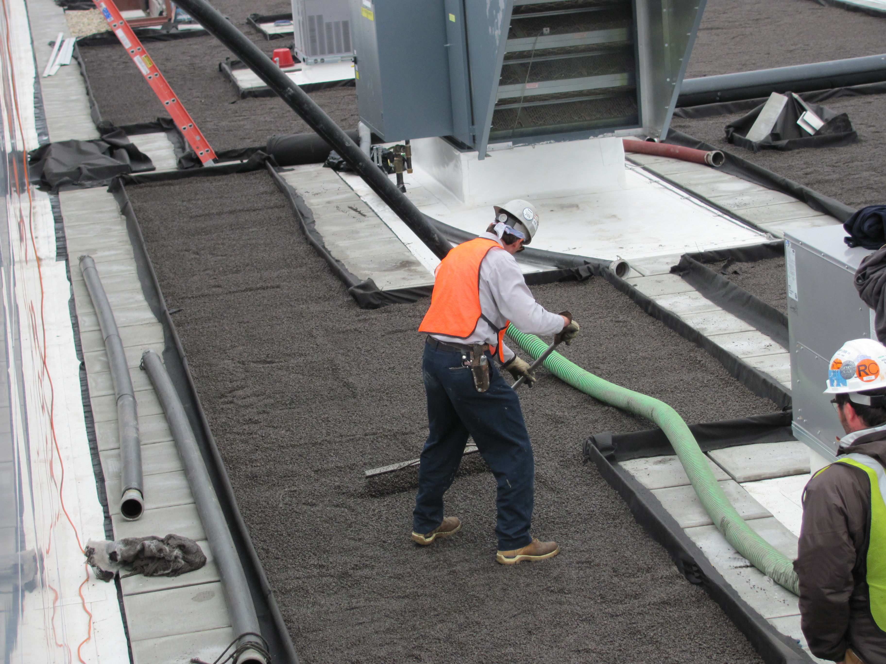 vegetative roofing 8